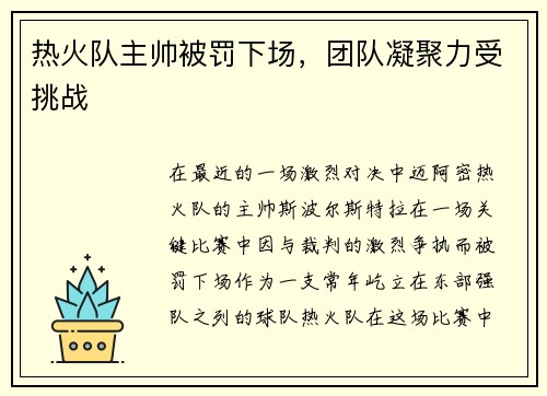 热火队主帅被罚下场，团队凝聚力受挑战